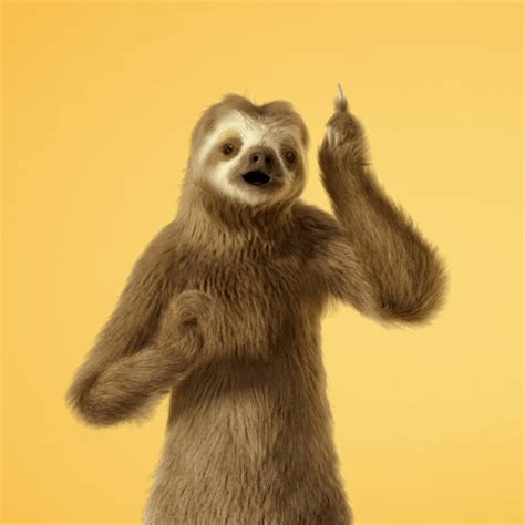 10 Animation Project Ideas for Freelance Animators .